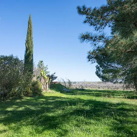 Emplacement Pour Tente Campeggio Saint-Laurent-du-Plan