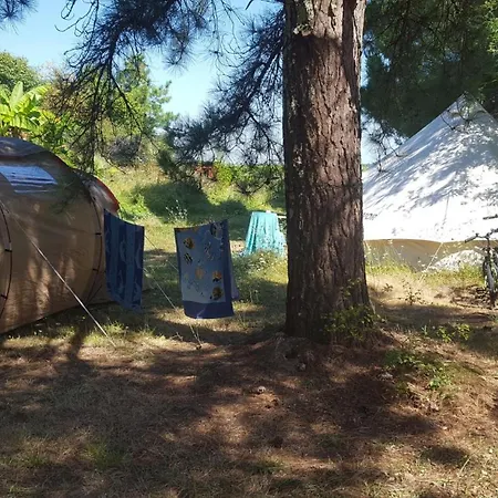 Campsite Emplacement Pour Tente *