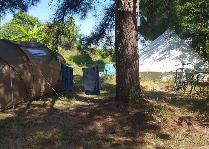 Camping Emplacement Pour Tente *